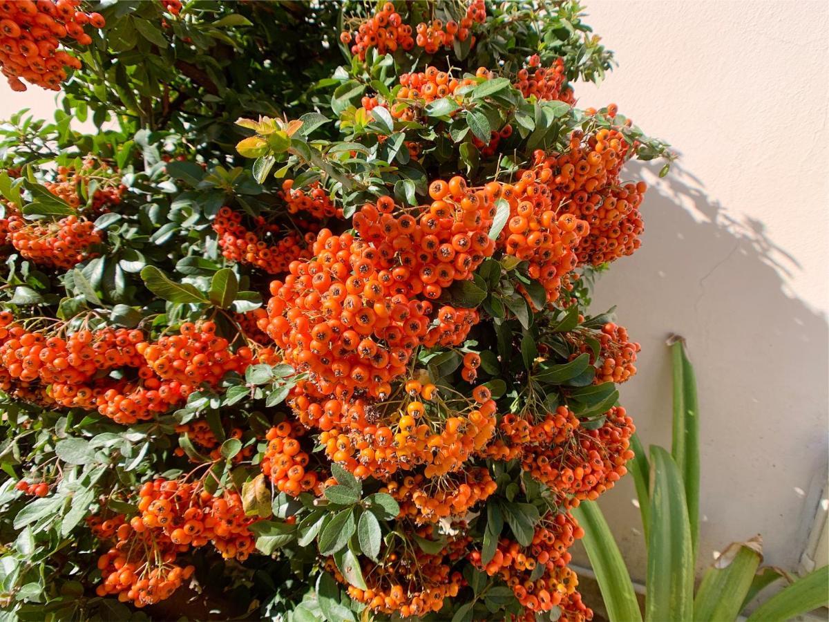 Bed and breakfast Borgo Oblate Florencia